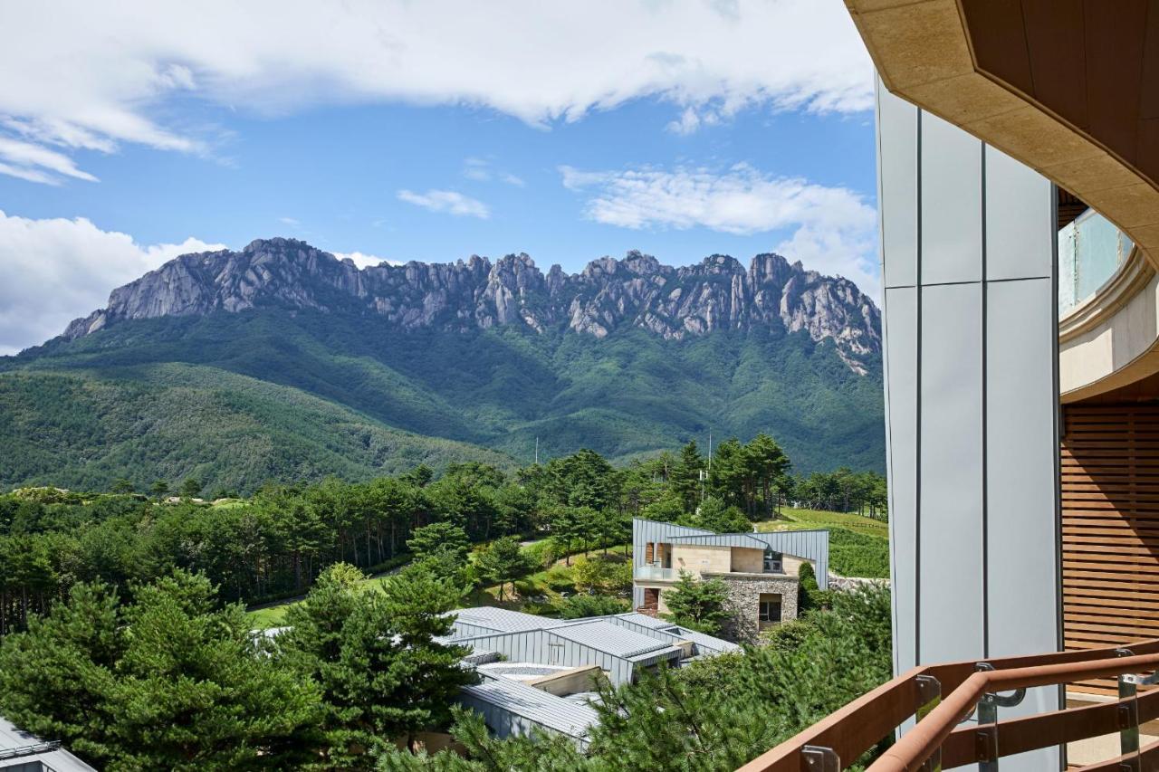 Delpino Hotel Sokcho Exterior photo