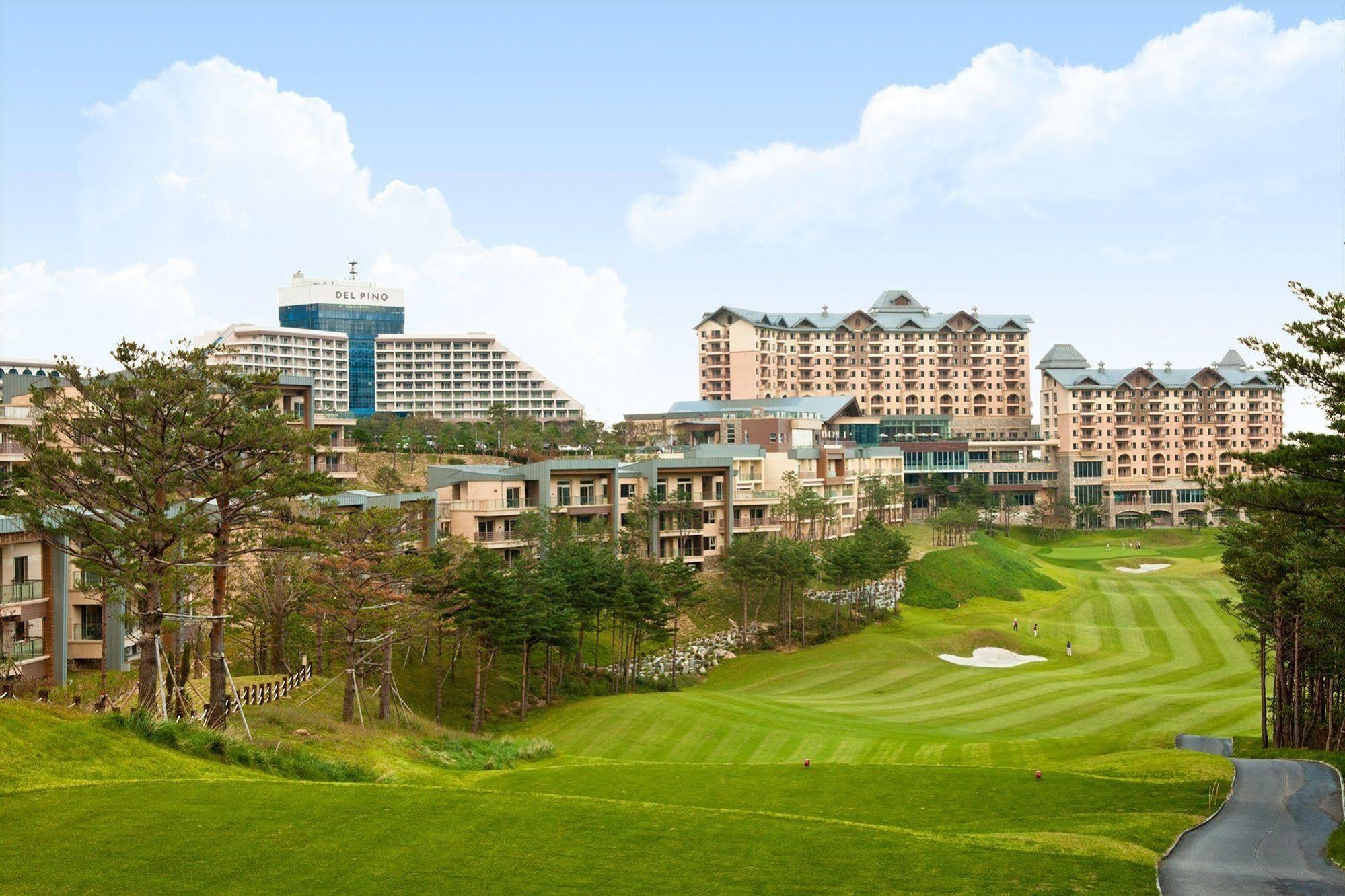 Delpino Hotel Sokcho Exterior photo